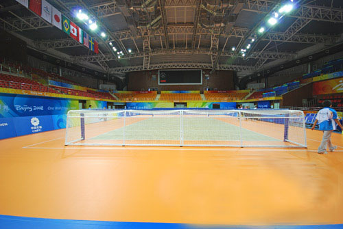 體育運動木地板